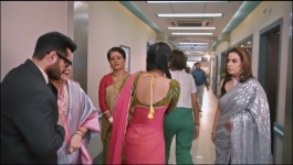 Saru - 7th February 2026